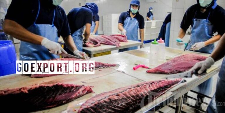 Industri Perikanan Inggris Mengalami Kerugian akibat Pandemi